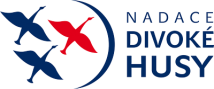 logo Divoké husy